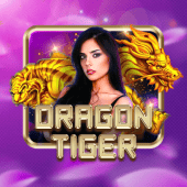 Dragon Tiger bigbunny